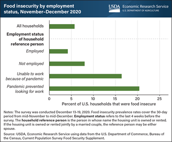 Food insecurity in late 2020 most prevalent among those unable to look for work because of pandemic