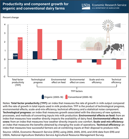 Organic dairy farms see slower productivity growth than conventional operations