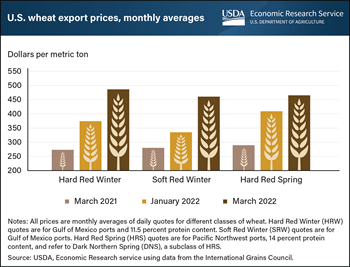 U.S. wheat prices surge in wake of Russia-Ukraine conflict