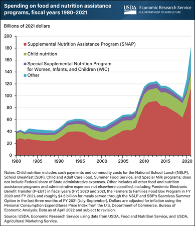 This is a stacked bar chart showing the spending on food and nutrition assistance programs in fiscal years from 1980 to 2021