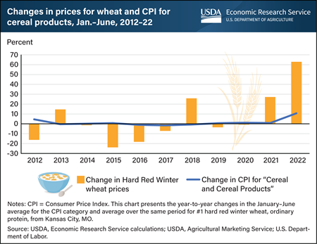 Consumer prices for cereal products rose 11 percent in first 6 months of 2022