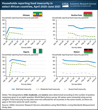 Food insecurity in Africa spiked early in COVID-19 pandemic, with limited recovery a year later