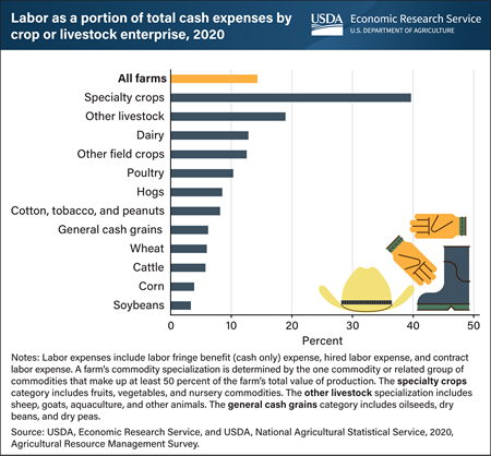 Specialty crop farms have the highest labor cost as a portion of total cash expenses