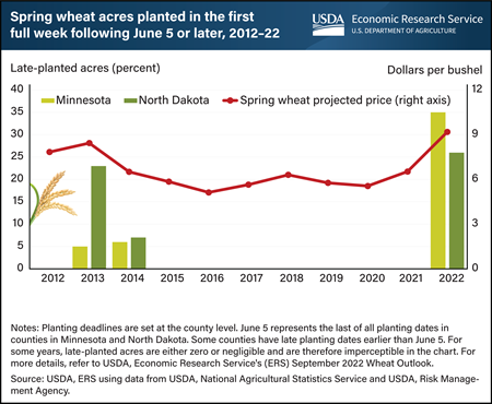 Large share of 2022 spring wheat planted after final crop insurance planting dates