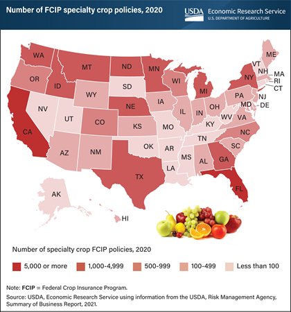 California leads States in the purchase of Federal Crop Insurance Program policies for specialty crops