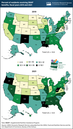 SNAP participation varied across States from 2019 to 2021