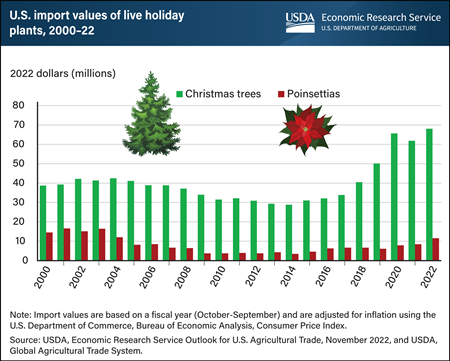 Live holiday plant imports into the United States reach $80 million in 2022