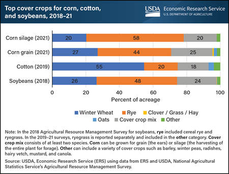 Cover crop mixes account for 18 to 25 percent of major commodity acreage with cover crops