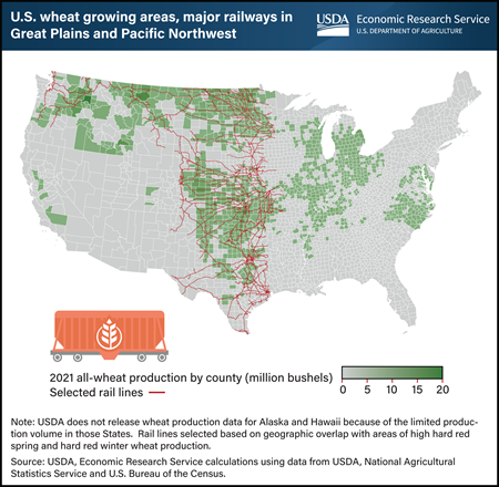 Rail networks facilitate U.S. wheat exports by connecting production areas to coastal ports