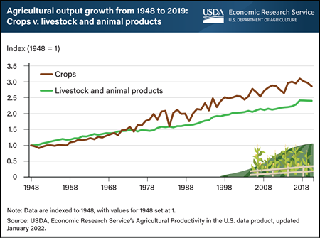 Crops production grew faster than livestock and animal products production from 1948 to 2019