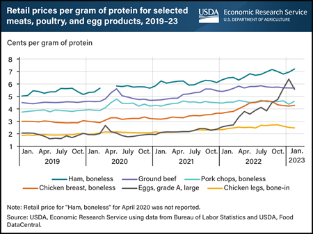 Eggs became an increasingly expensive source of animal protein in 2022 and into early 2023