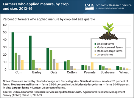 Small-scale farmers are more likely to apply manure as a plant nutrient source