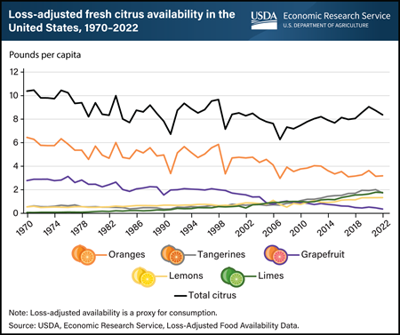 Grapefruit and oranges drove decline in U.S. fresh citrus availability from 1970 to 2022