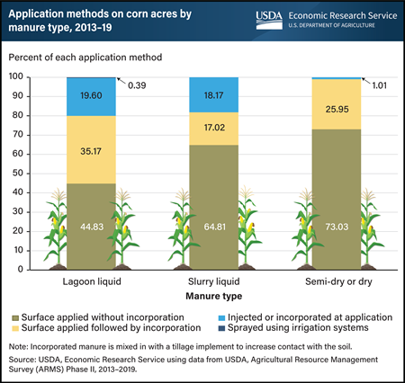 Most manure applied to corn fields is not incorporated into the soil