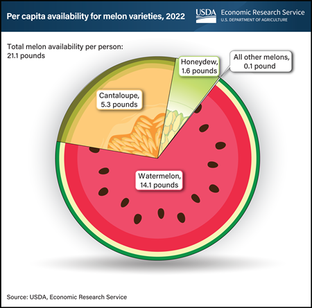 No matter how you slice it, watermelon is the United States’ favorite melon