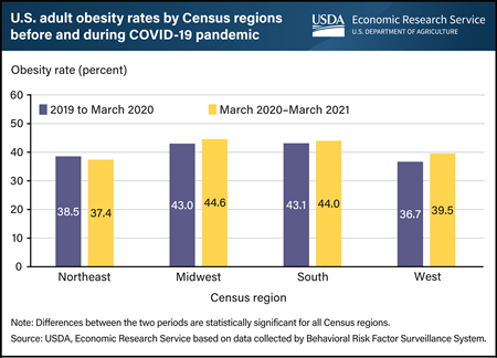 U.S. obesity rates grew in most regions during first year of pandemic
