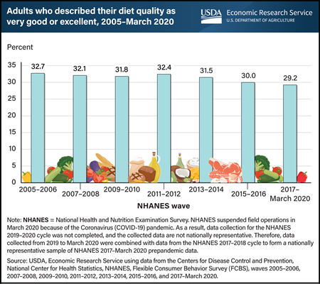 Fewer than one-third of U.S. adults think their diets were very good or excellent