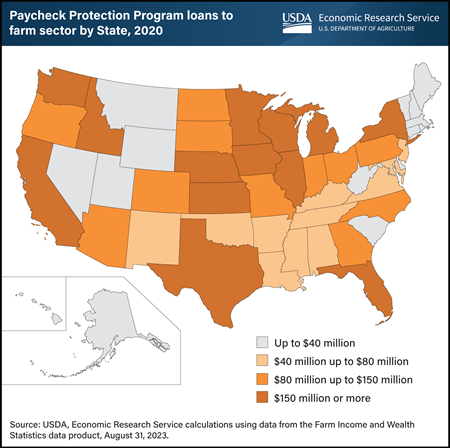 Paycheck Protection Program loans provided $5.8 billion to U.S. farm sector in 2020