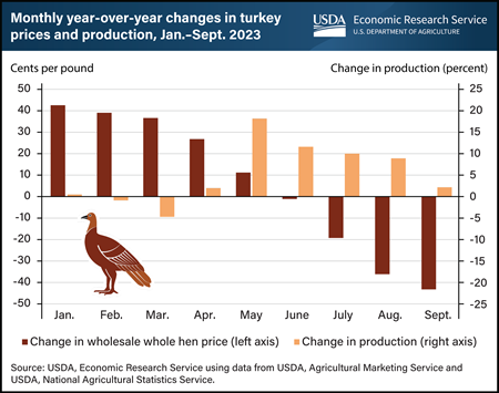 Turkey prices falling in time for holiday season