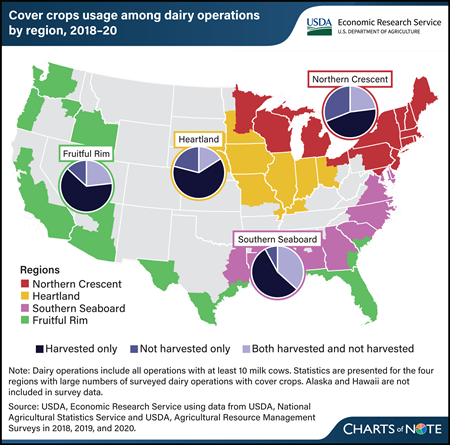 Cover crops planted by dairy producers are often harvested
