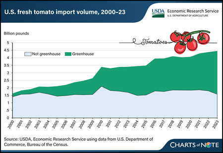 Greenhouse tomatoes fuel U.S. import growth in fresh tomatoes