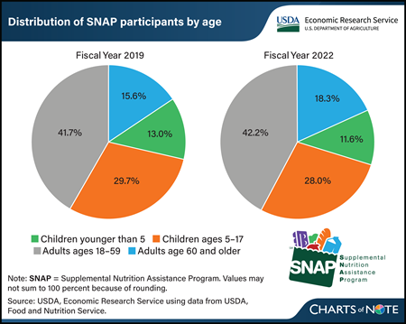 Older adults’ share of SNAP participation rose from FY 2019 to 2022, while children’s share slightly fell