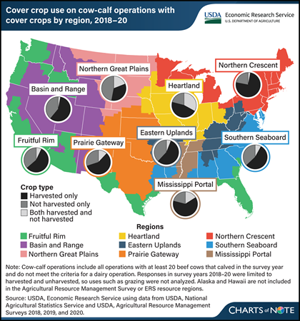 Cover crop harvesting by cow-calf producers varies by region