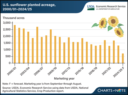 U.S. sunflower acreage falls to new low following expansion of other oilseed crops