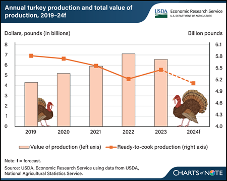 Bar and line chart showing annual turkey production and total value of production from 2019 forecast through 2024.