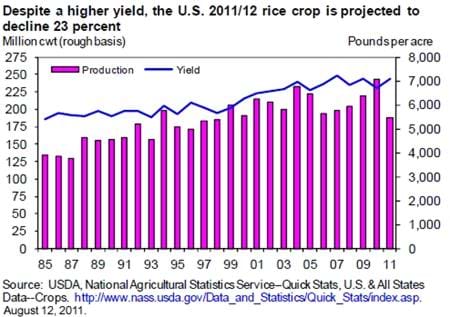 Despite a higher yield, the U.S. 2011/12 rice crop is projected to decline