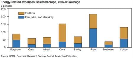 Energy-related expenses vary across crops