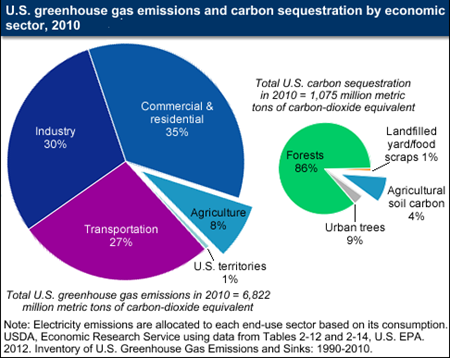 Agriculture's role in climate change: greenhouse gas emissions and carbon sequestration