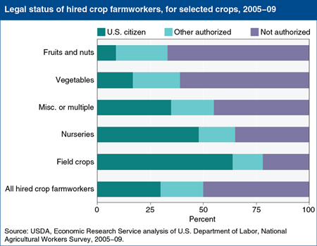 Hired farmworkers lacking authorization are particularly important for some crops