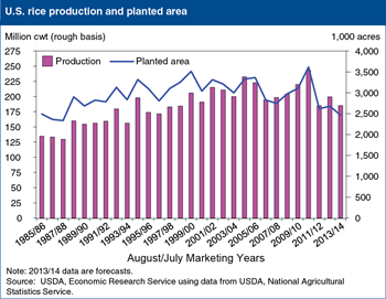 U.S. rice production forecast to decline 7 percent in 2013/14