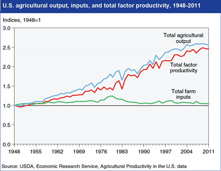 Growth in agricultural output has slowed since 2000