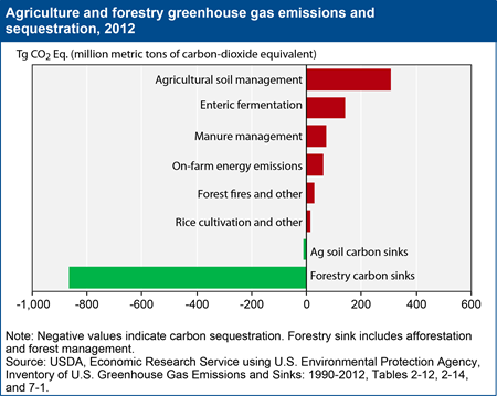 Agriculture's role in climate change: greenhouse gas emissions and carbon sequestration