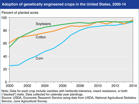 Genetically engineered seeds planted on over 90 percent of U.S. corn, cotton and soybean acres