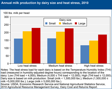 Per-cow milk production is lower in hot climates