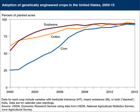 Genetically engineered seeds planted on over 90 percent of U.S. corn, cotton, and soybean acres in 2015