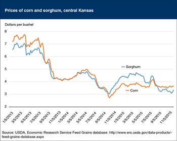 The price of sorghum has returned to below the price of corn