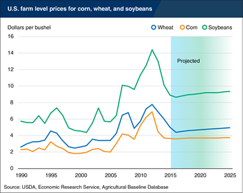 Prices for grains and oilseeds projected to remain below recent highs