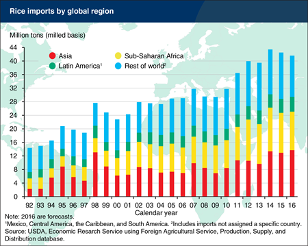 Global rice trade is projected to decline in 2016
