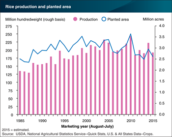 U.S. rice production declined 13 percent in 2015