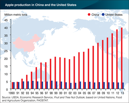 China dominates world apple production