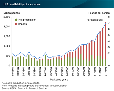 Avocado imports grow to meet increasing U.S. demand