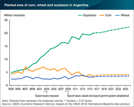 Soybeans dominate expansion of cropland in Argentina