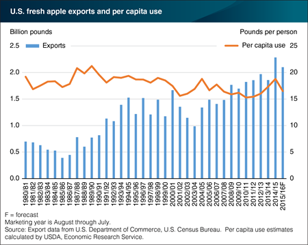 Growth in U.S. fresh apple exports reflects changes in supply and demand