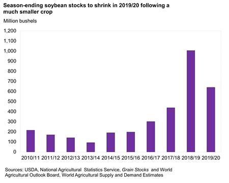 Soybean-ending soybean stocks to shrink in 2019/20 following a much smaller crop