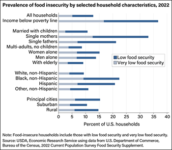 Food insecurity rates are highest for single mother households and households with incomes below poverty line
