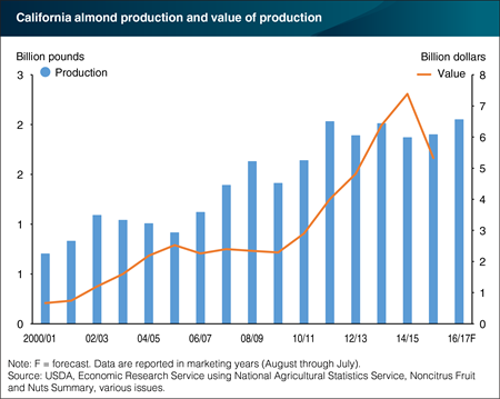 California almond production forecast to reach record levels